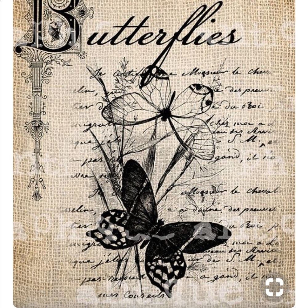 Meet your Posher, Wanda